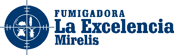 FumiExcelencia.com